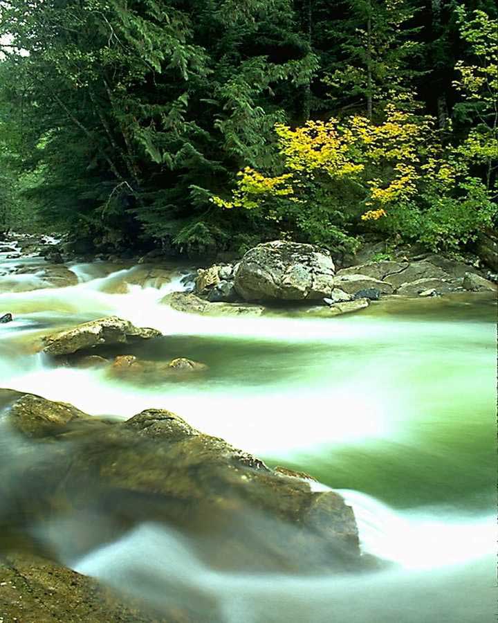La Biosfera es el conjunto de medios donde se desenvuelven los sistemas vivos que conocemos