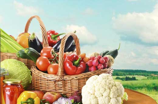 Prueba con la Cocina Sostenible