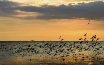 Día Mundial de la Biodiversidad 2014