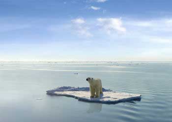 El deshielo es consecuencia del cambio climático