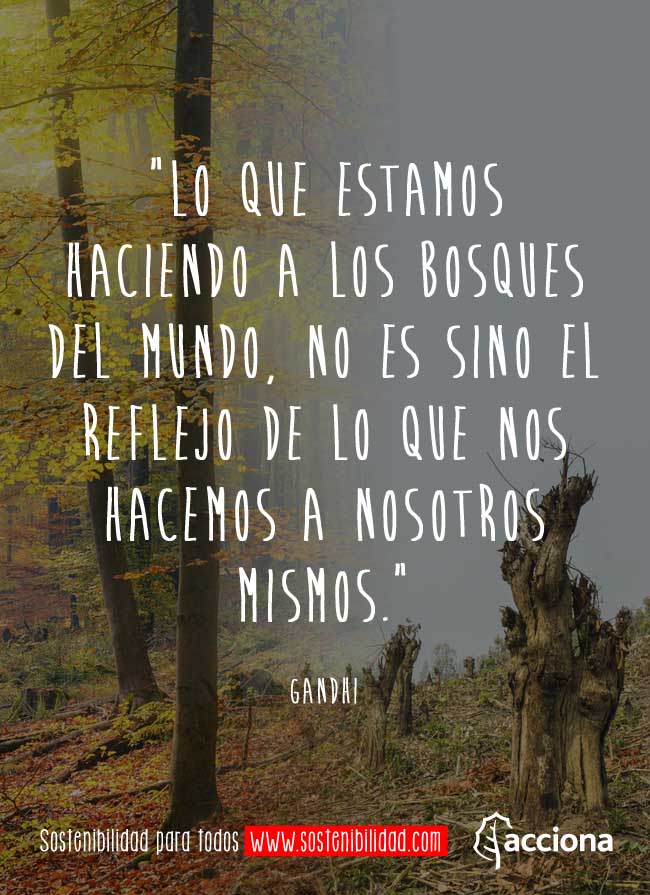 Gandhi y los bosques