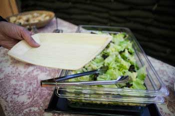 Platos de hoja de palma y cubiertos de almidón