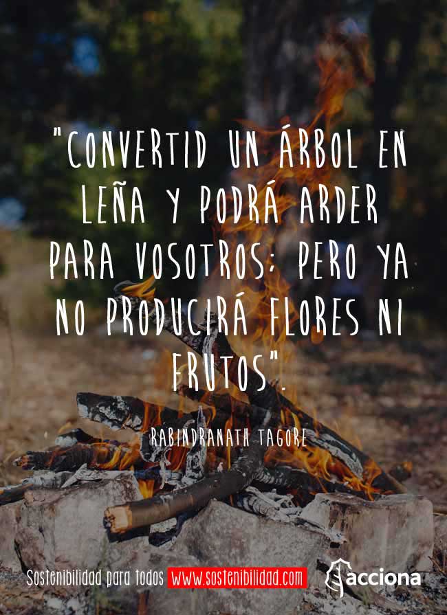 Rabindranath Tagore y los árboles