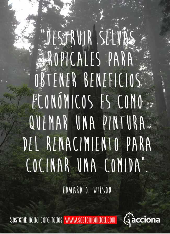 Edward O. Wilson y las selvas tropicales