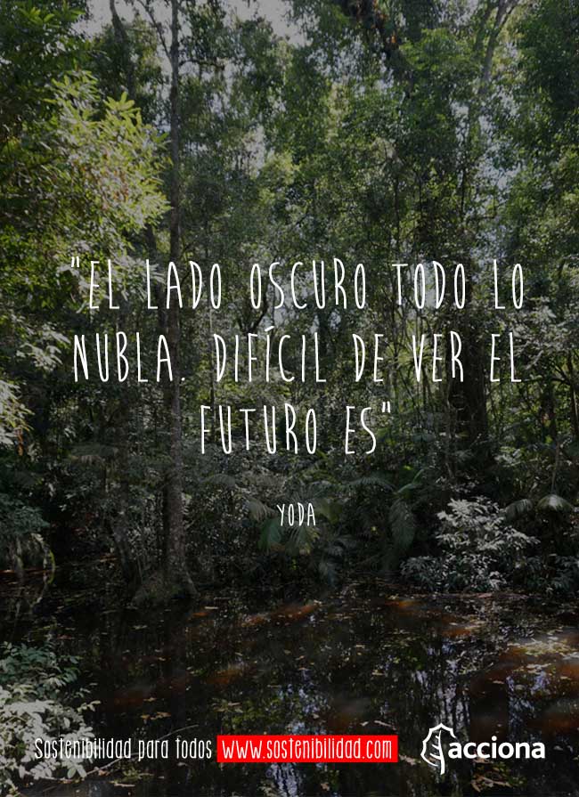 Yoda y el calentamiento global