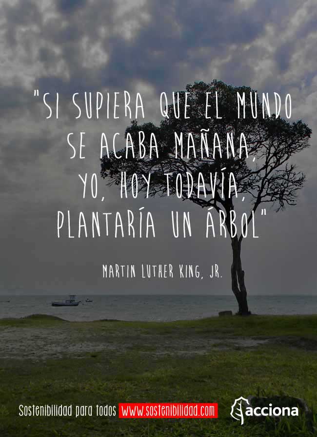 Martin Luther King, Jr. y los árboles