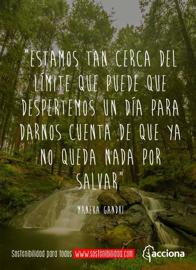 Maneka Gandhi y el límite