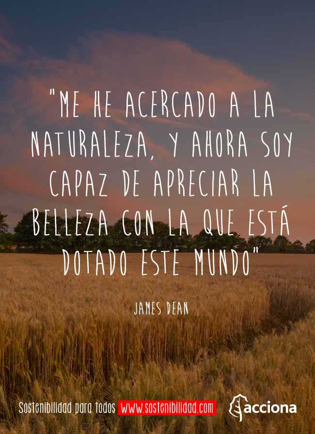 James -dean y la belleza del mundo