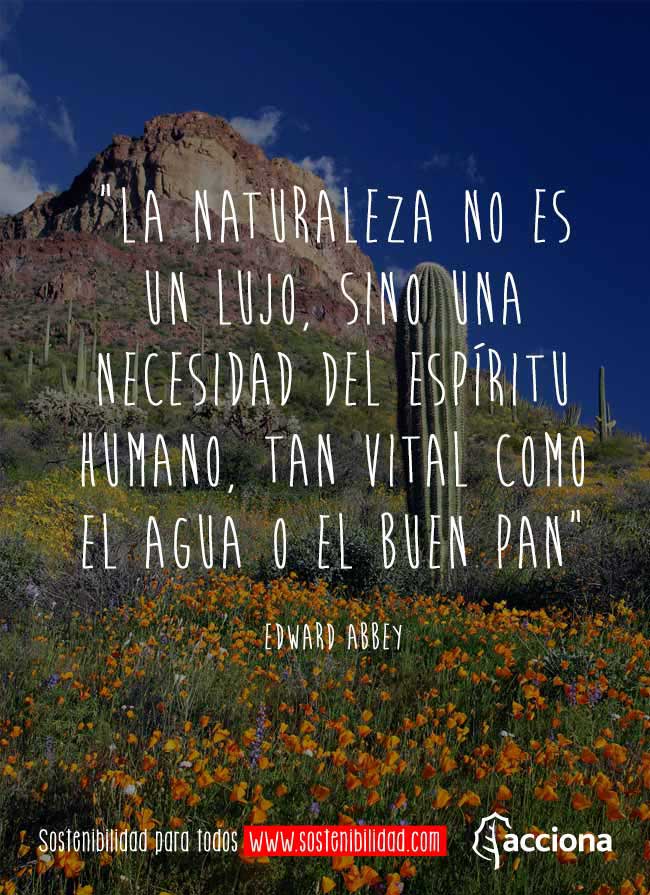 Edward Abbey y la naturaleza