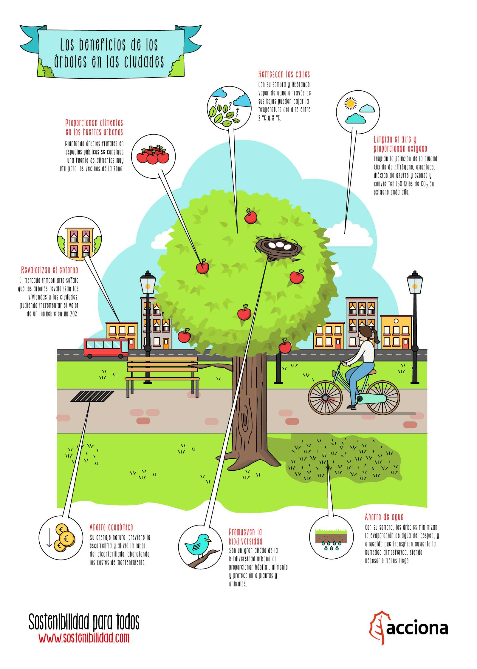 Los beneficios de los árboles en las ciudades