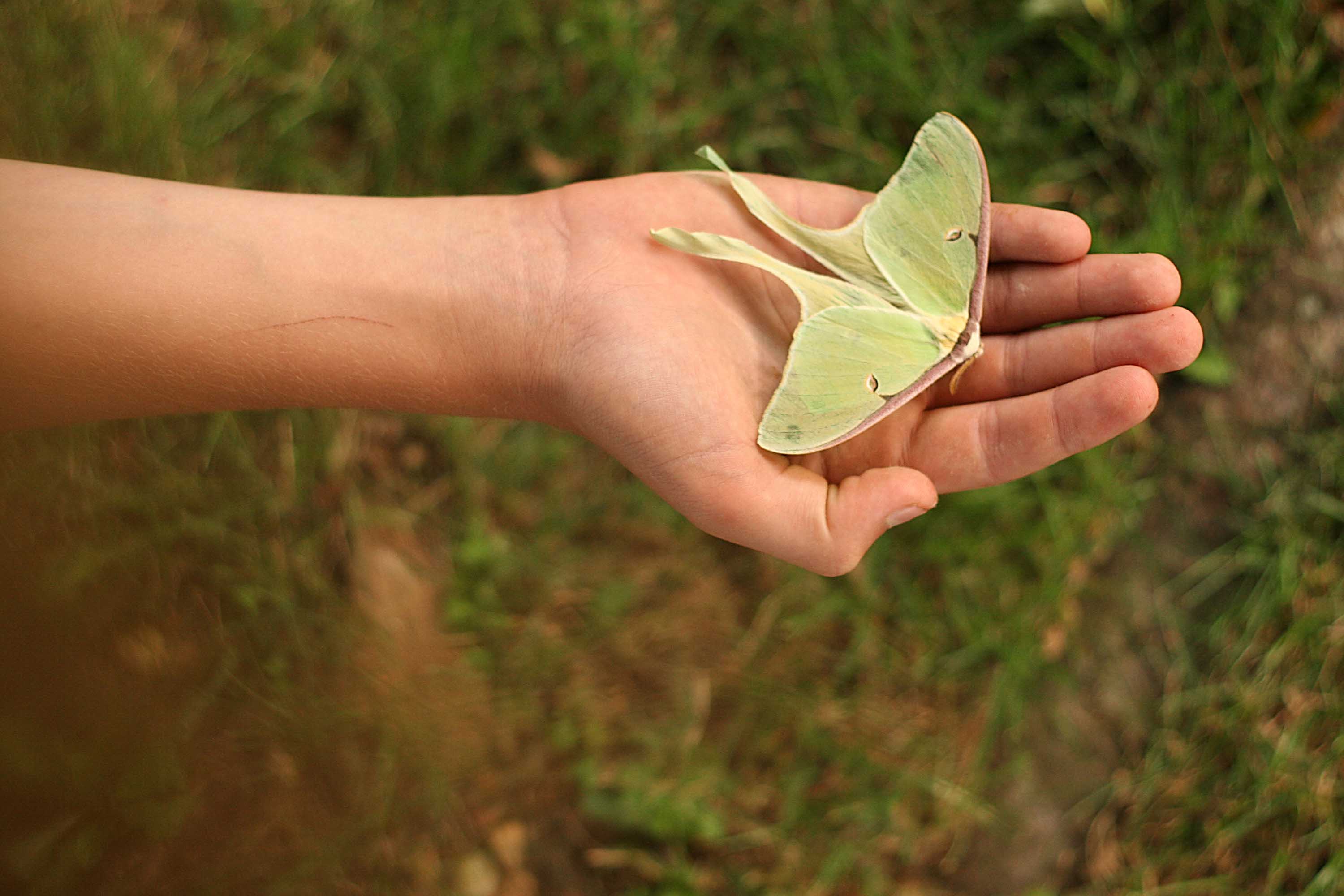 Una educación para el desarrollo sostenible