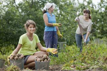Voluntariado en granjas