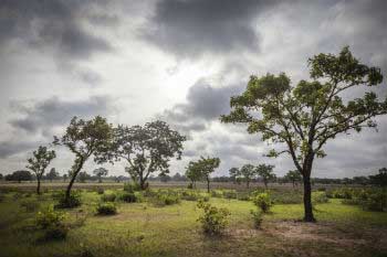 Debemos de exigir medidas para evitar la obsolescencia programada