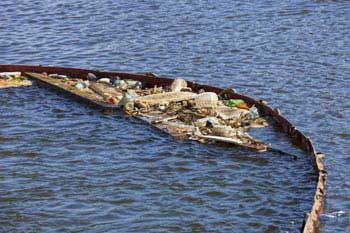 La amenaza de los microplásticos