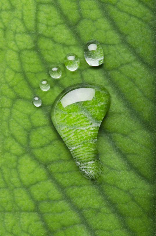 Calcula tu huella hídrica