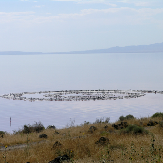 Arte y sostnebilidad