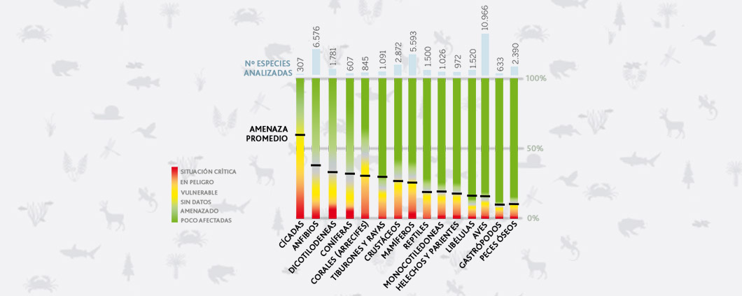 informe IPBES Naciones Unidas especies peligro