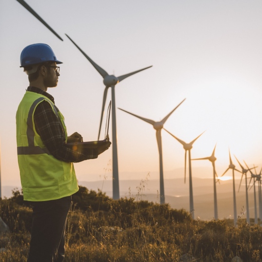 energías renovables economía