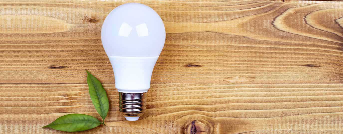 Luz De Foco Vs. LED: ¿Cuál Consume Más Energía?