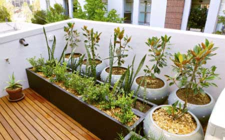Cómo crear un huerto urbano en el balcón de tu casa - Nostoc productos  microbiológicos